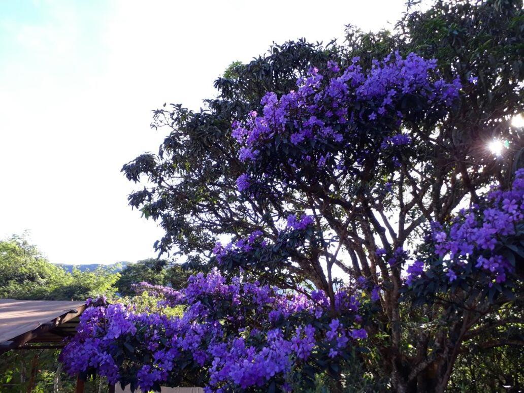 Do Alto Da Montanha Pousada Vale do Capao Esterno foto